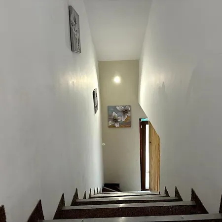 Luxury Duplex In Center *