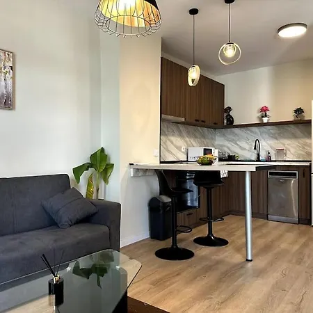 Luxury Duplex In Center Appartement